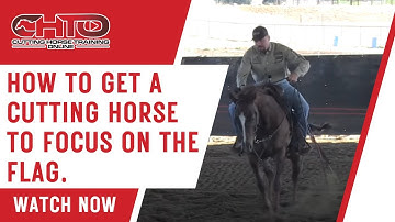 How To Get A Cutting Horse To Focus On The Flag.