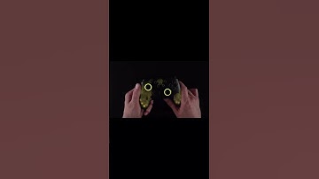 The FUNLAB Firefly lighting controller-TOTK#funlab #funlabfirefly #firefly #procontroller #nintendo