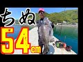 【チヌフカセ釣り】黒鯛を堤防から狙う