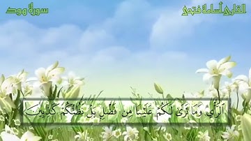 ما تيسر من سوره هود للقارئ أسامة فتحى تلاوة خاشعة 💔
