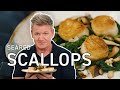 Gordon Ramsay Makes Seared Scallops | Cooking With Gordon | HexClad