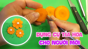 Cách chọn dụng cụ tỉa hoa cho người mới bắt đầu | Tỉa hoa nghệ thuật đơn giản | Mẹ Bảo Hân