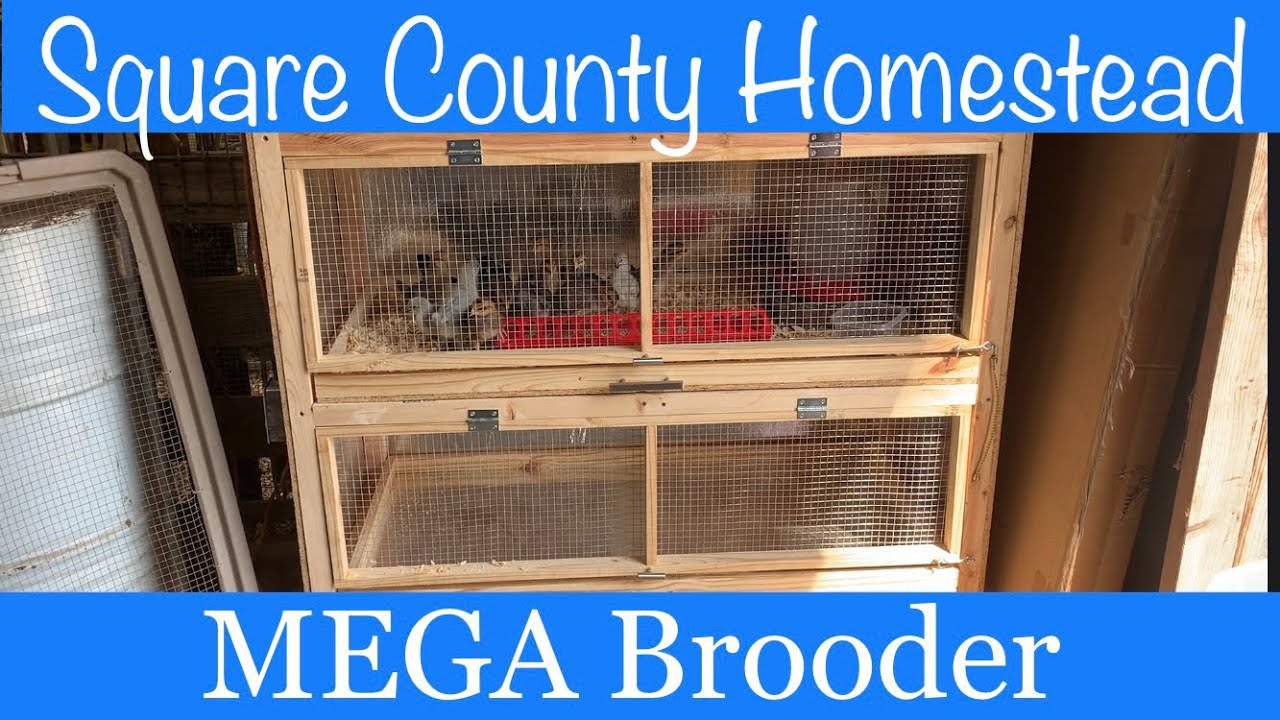 DIY space saving MEGA Brooder. - YouTube