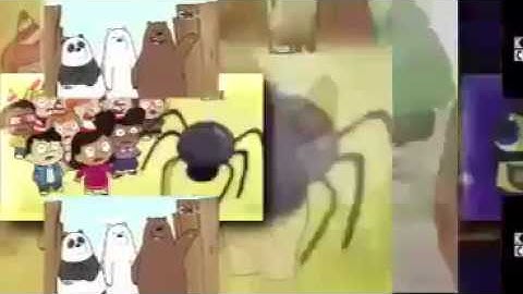 14 groups of shuric scans