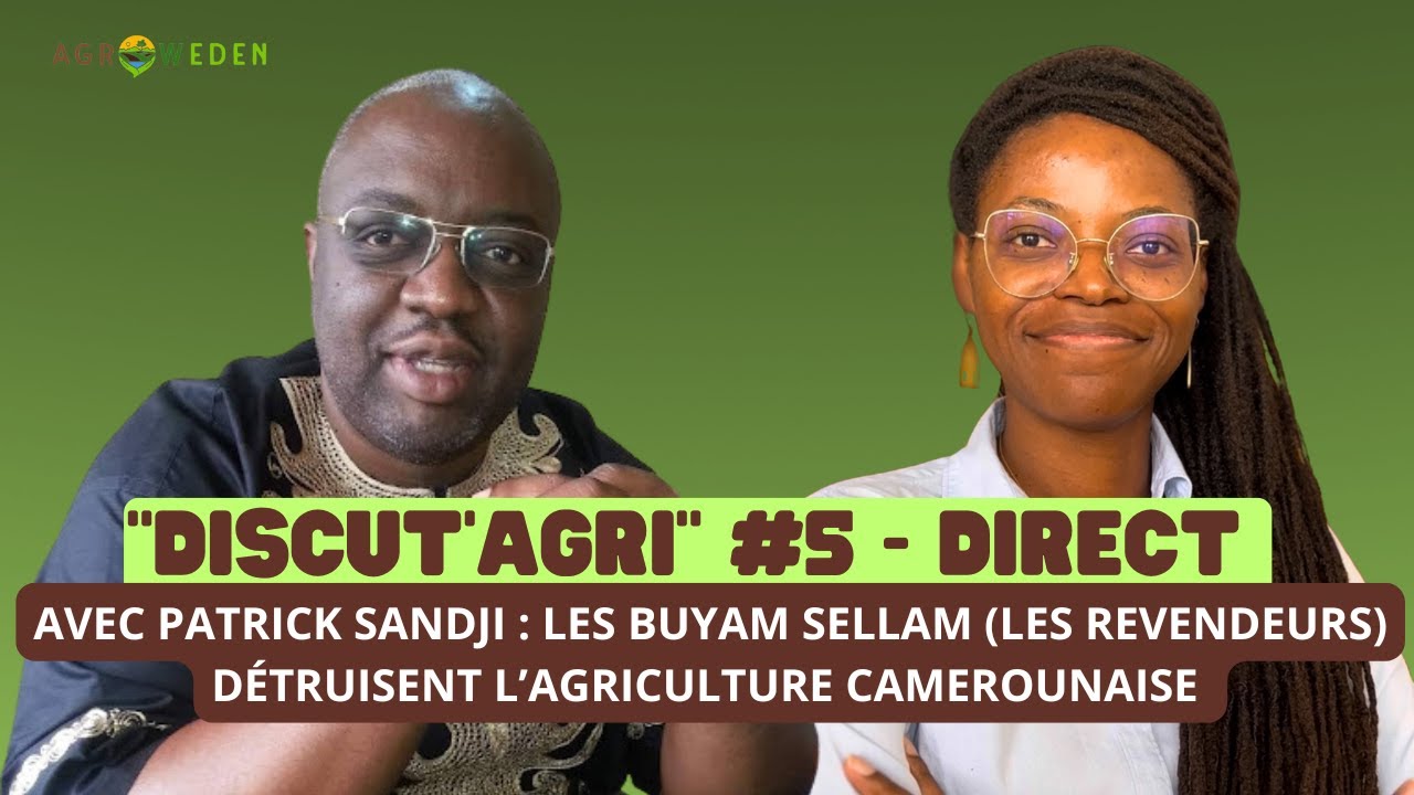 Les BUYAM SELLAM DÉTRUISENT l'AGRICULTURE au CAMEROUN !