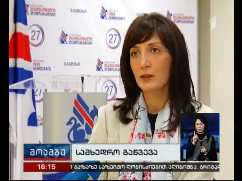 თამარ კეკენაძე - ერთხელ და სამუდამოდ უნდა შევთანხმდეთ, რა ტიპის შეირაღებულ ძალებს ვაშენებთ