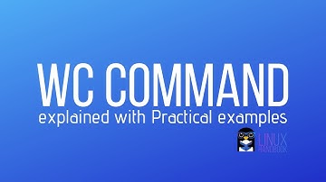 wc Command in Linux [Practical Examples]
