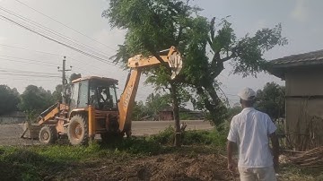JCB VS  TREE - Powerful JCB Pushing Down A  Tree - JCB VIDEO