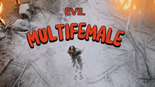 Multifemale & Evil [Edit]