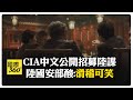 國際上對中國的看法