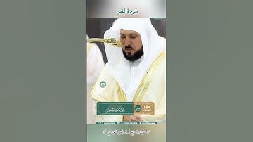 تلاوة خاشعة 🕊 سورة النصر  🌿  #_للشيخ أ.د #ماهر بن حمد #المعيقلي