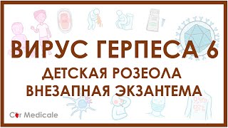 Детская розеола или внезапная экзантема - герпес 6 типа -  причины, клинические проявления и др.