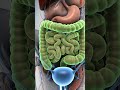 Learn how the kidneys,ureters bladder,and reproductive organs work#MedicalAnimati. #Anatomy#science