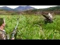 Giant alaskan moose runs over hunter the journey part 2