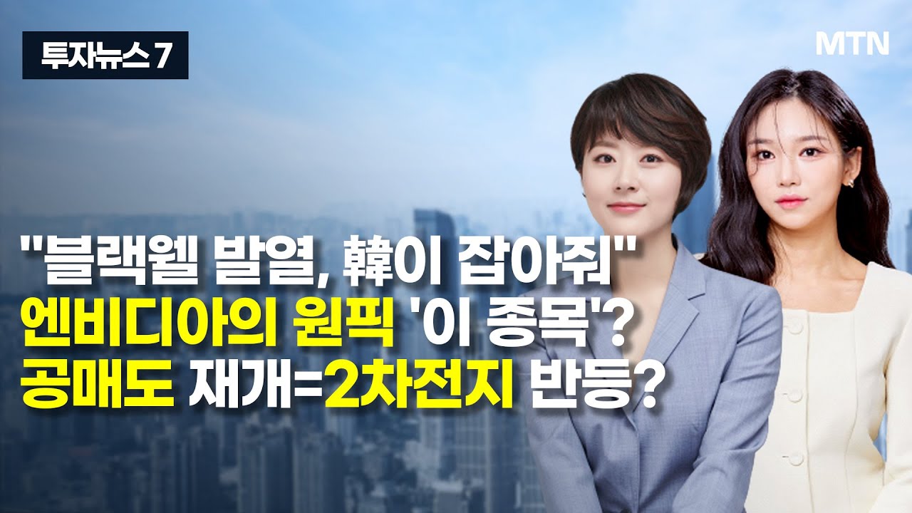 팬오션, 왜 사야 할까? 이성웅 전문가의 추천 이유, 주가 전망, 목표가를 확인하고 투자 전력에 활용하세요! | 리틀비프로젝트