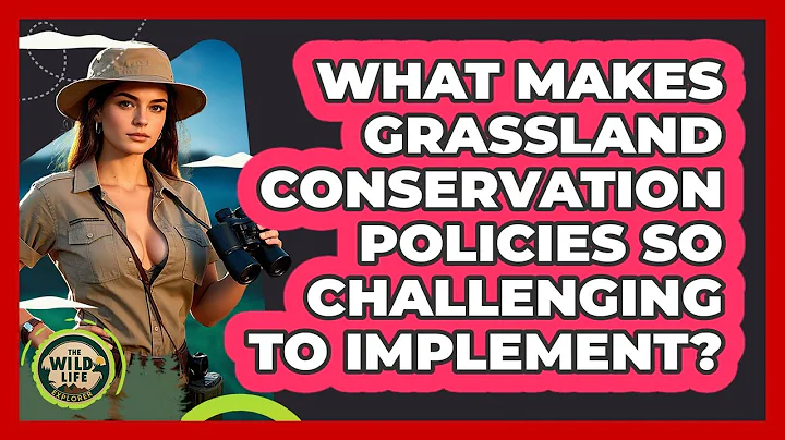 What Makes Grassland Conservation Policies So Challenging To Implement? - The Wild Life Explorer