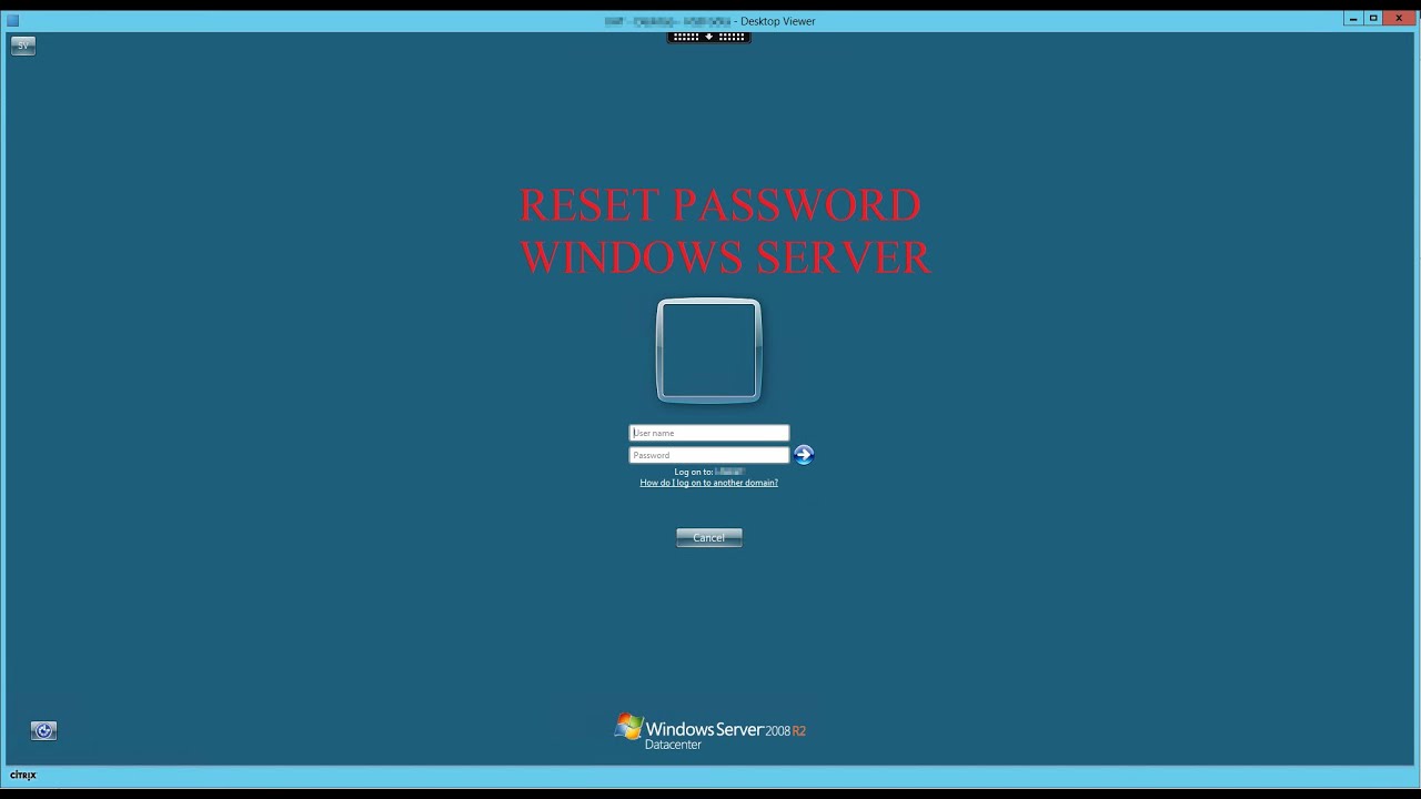 cmd reset password domain