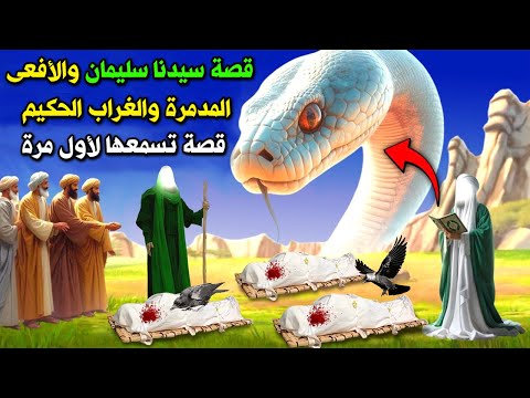 قصة الحية المدم رة والغراب الحكيم في عهد النبي سليمان وما السر العجيب الذى فضحه الغراب للنبي سليمان