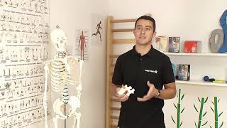 Alexandru Ilie Despre Lumbago Sau De Ce Ni Se Blocheaza Spatele Live La Observator, Antena1