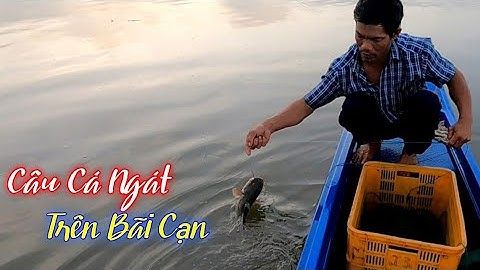 Giăng Câu Cá Ngát Không Đủ Bán Nhưng Đủ Ăn | Gia Đình Cần Giờ .6 |