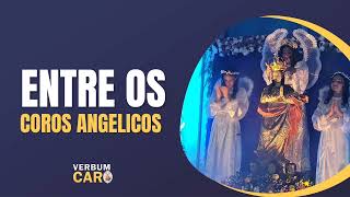 Video thumbnail of "ENTRE OS COROS ANGELICOS| Verbum Caro"