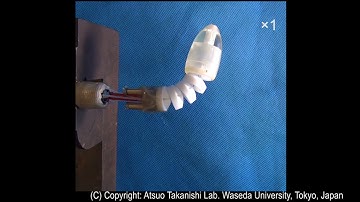 2020 WATER-5 : Underactuated Active bending module