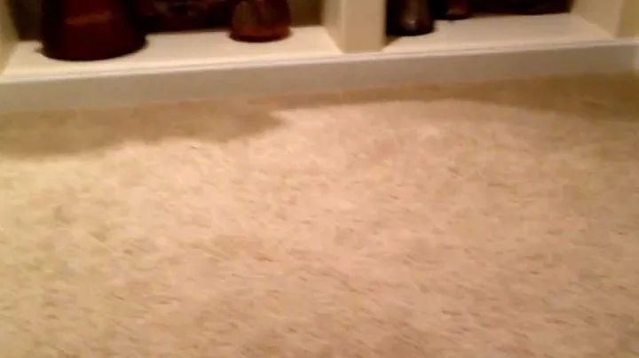 Dog doesn't understand how to go up stairs part 3!...