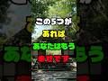 この5つがあればあなたはもう幸せです #人生の教え #心に響く言葉 #大人の人生 #shorts #人間関係 #シニアライフ