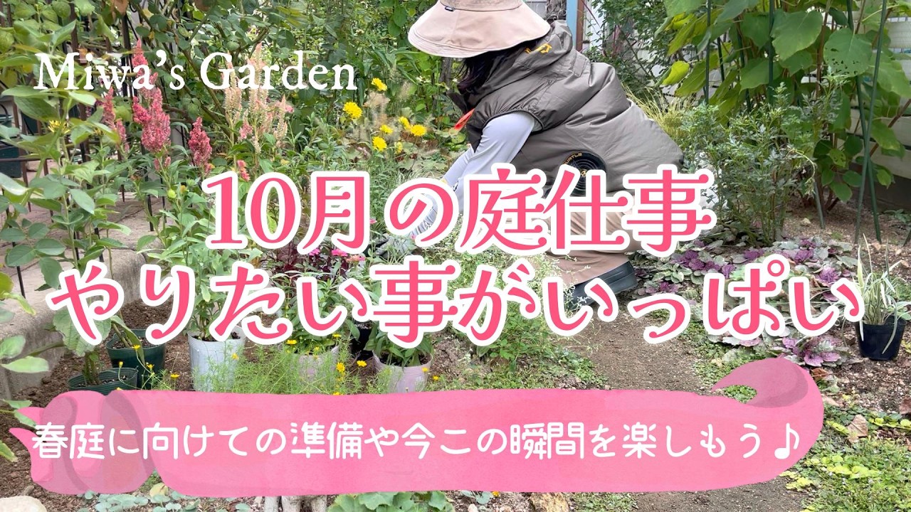 【ガーデニング🌿10月の庭仕事】おすすめ秋花や宿根草植付け🌺分身を挿し芽で増やそう♪やりたい事いっぱいの秋＊おしゃれな庭づくり