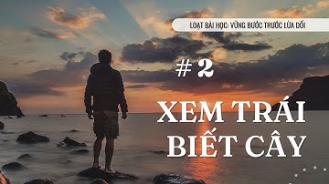 Bài 2: XEM TRÁI BIẾT CÂY | VỮNG BƯỚC TRƯỚC LỪA DỐI || Ms Bùi Văn Ba