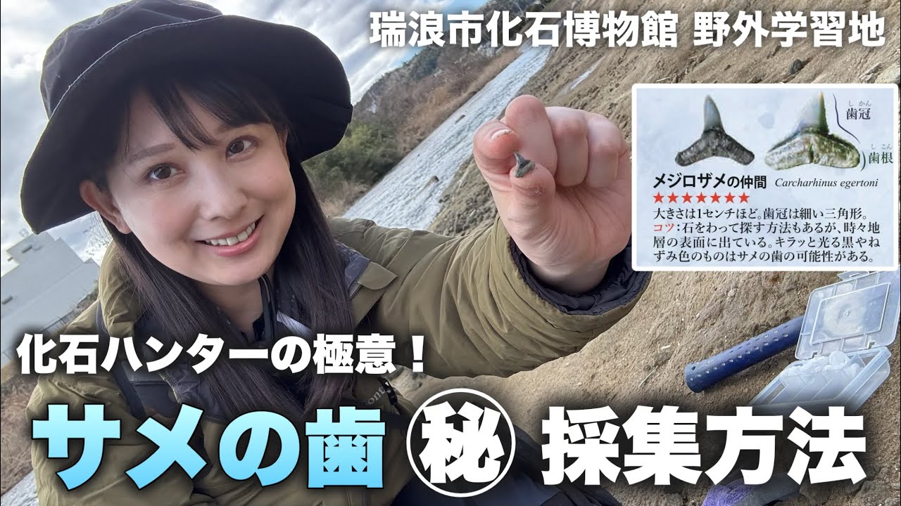 Fossil Hunting] A Shark Tooth in Just 5 Minutes! How to Find Them