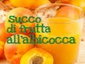 SUCCO DI FRUTTA ALL'ALBICOCCA FATTO IN CASA DA BENEDETTA - Natural Homemade Apricot Juice -