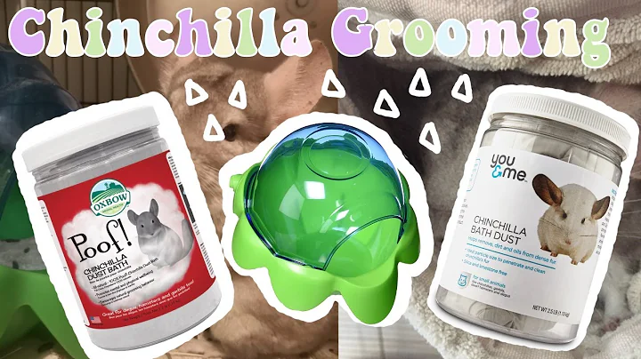 The Ultimate Guide to Chinchilla Grooming