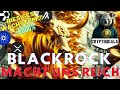 BULLRUN  2024/25 - BLACKROCK MACHT UNS REICH... !?! 🤯 🚀 (XRP, ALOGRAND, CARDANO, QUANT)