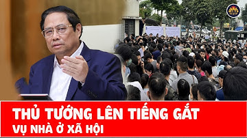 Xót Xa Cảnh Tranh Nhau Mua Nhà Ở Xã Hội, Thủ Tướng Lên Tiếng Gắt