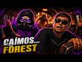 SOBREVIVEMOS À QUEDA… MAS TEM ALGO NA FLORESTA 😰 (THE FOREST)