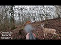 Chasse aux gros gibiers chevreuils renards sangliers