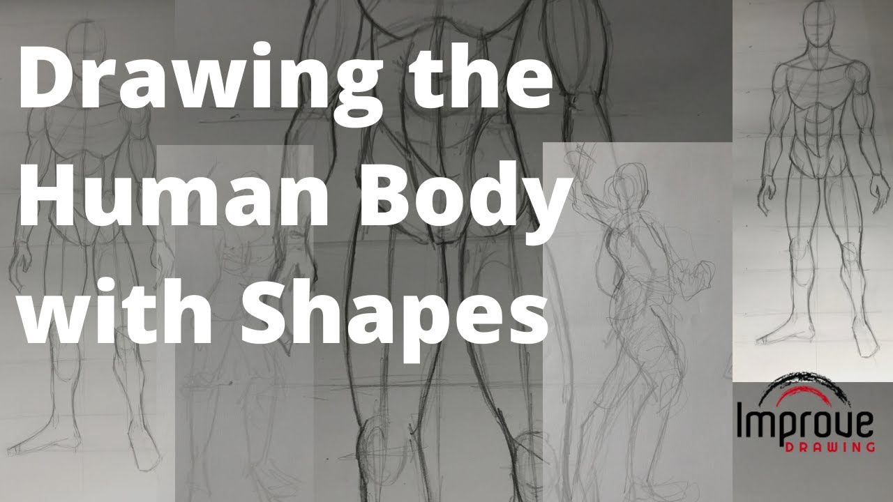 Drawing The Human Body with Shapes - YouTube