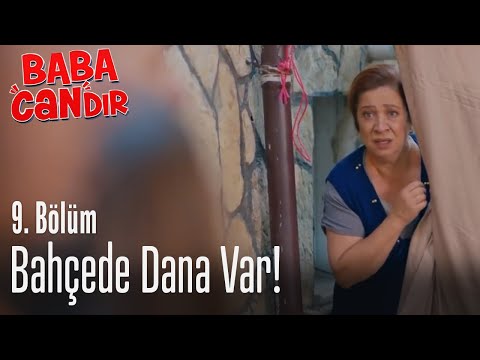 Bahçede dana var! - Baba Candır 9. Bölüm