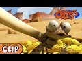 Oscar's Oasis - Lost Corn | HQ | Funny Cartoons