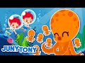 Mommy Animals | Anything for You | Animal Songs for Kids | Kids Songs | JunyTony