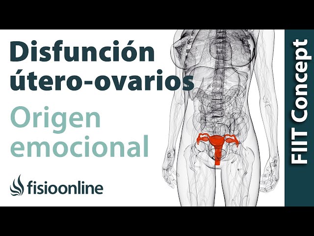 problemas de utero y ovarios problemas de utero y ovarios