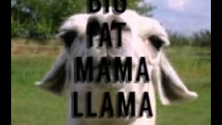 Llama song part 2 lyrics