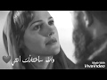 من أجمل ما قيل في الغزل