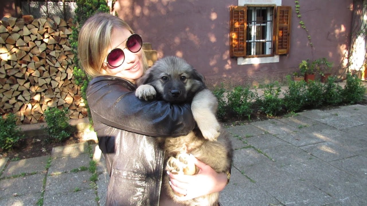 LA VERITÀ SU TOMAŽ E NUOVO ARRIVATO IN FAMIGLIA!!!!! VLOG