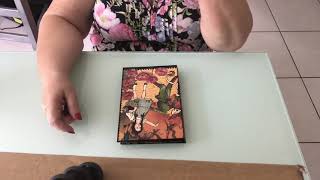 Slim folio using graphic45 wizard of oz scraps.
