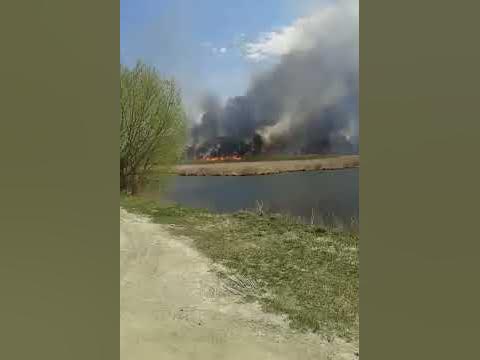 пажар в гороже - YouTube