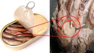 7 НАСЕКОМЫХ, КОТОРЫХ МЫ ЕДИМ ПОСТОЯННО И ДАЖЕ НЕ ПОДОЗРЕВАЕМ ОБ ЭТОМ. 7 НАСЕКОМЫХ, КОТОРЫХ МЫ ЕДИМ ПОСТОЯННО И ДАЖЕ НЕ ПОДОЗРЕВАЕМ ОБ ЭТОМ.