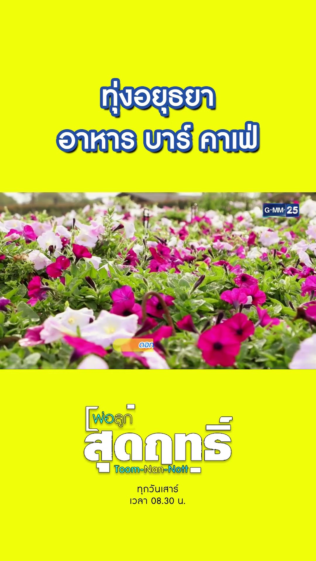 ทุ่งอยุธยา อาหาร บาร์ คาเฟ่ | #Shorts #พ่อลูกสุดฤทธิ์ | GMM25