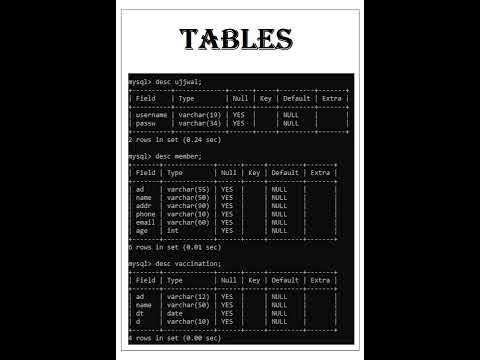 computer science project(sql & python connectivity) - YouTube